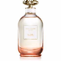 Coach Dreams Sunset 90 ml