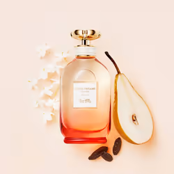 Coach Dreams Sunset eau de parfum vaporisateur 60 ml - Vue supplémentaire 3