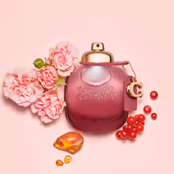 Coach Rose Sauvage eau de parfum vaporisateur 90 ml