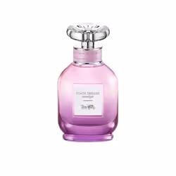 Coach Dreams Moonlight eau de parfum vaporisateur 40 ml