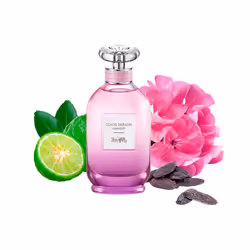 Coach Dreams Moonlight eau de parfum vaporisateur 40 ml