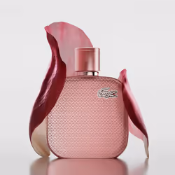 L.12.12 Silver Rose eau de parfum vaporisateur 50 ml - Vue supplémentaire 3