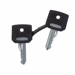Schneider Electric ZBG455 accessoire de commutation électrique Clé