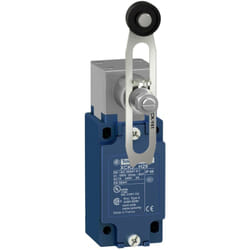 Schneider Electric - Xckj10541 Schneider - Interrupteur Fin De Course - Levier Galet Plastique Réglable - 1no+1nf - Brusque - Pg13