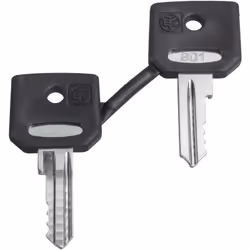 Harmony clé pour serrure 455 jeu de 2 dont une avec capuchon SCHNEIDER ZBG455P type d’accessoires électriques - autre type d’ ...