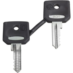Schneider Electric - Harmony clé pour serrure 455 jeu de 2 dont une avec capuchon schneider ZBG455P