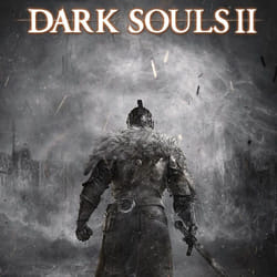 BANDAI NAMCO Entertainment Dark Souls II Standard Allemand, Anglais, Chinois simplifié, Coréen, Espagnol, Français, Italien, Polonais, Portugais, Russe Xbox 360
