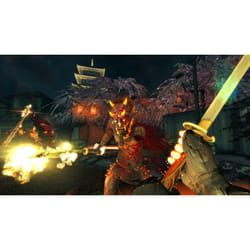 Devolver Digital Shadow Warrior