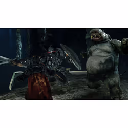 BANDAI NAMCO Entertainment Dark Souls II : Scholar of The First Sin PlayStation 4 - Vue supplémentaire 4