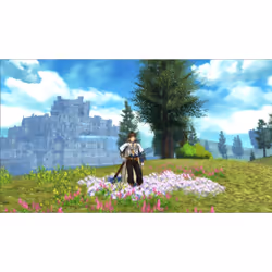 BANDAI NAMCO Entertainment Tales of Zestiria, PS3 Standard Anglais PlayStation 3