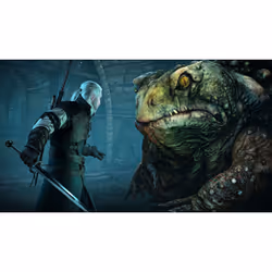 BANDAI NAMCO Entertainment The Witcher 3: Wild Hunt - Game of the Year Edition, PS4 Anglais PlayStation 4 - Vue supplémentaire 9