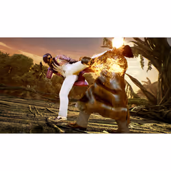 BANDAI NAMCO Entertainment Tekken 7, PC - Vue supplémentaire 26