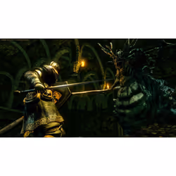 BANDAI NAMCO Entertainment Dark Souls Trilogy Standard Xbox One - Vue supplémentaire 2