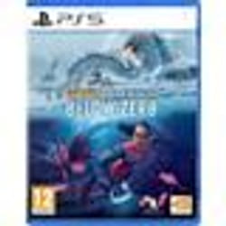 BANDAI NAMCO Entertainment Subnautica Below Zero Standard Multilingue PlayStation 5