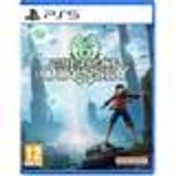 Jeu vidéo - One Piece - Odyssey - Aventure - PS5 - Blu-Ray