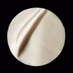 Filorga Optim-Eyes Crème pour les yeux Femmes 15 ml - Vue supplémentaire 5