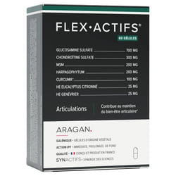 Aragan Synactifs FlexActifs 60 Gélules