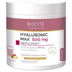 Biocyte Beauty Food Hyaluronic Max 280 g