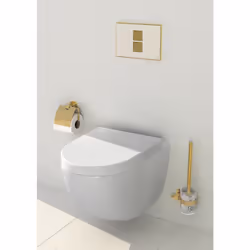 Description générale Ce pack de toilettes suspendues comprend un bati-support Geberit autoportant et une cuvette design. Idéa ...