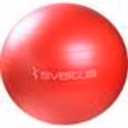 Gym Ball Rouge SVELTUS - Diamètre 65 cm - PVC anti-explosion - Fitness