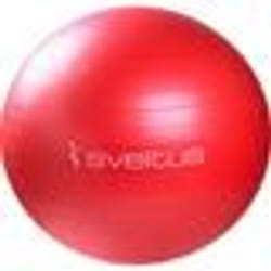 Gym Ball Rouge SVELTUS - Diamètre 65 cm - PVC anti-explosion - Fitness