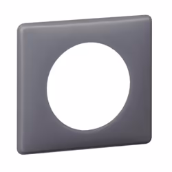 Legrand 066731, 1 pièce(s)