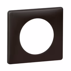 Legrand 066741, 1 pièce(s)