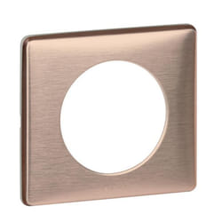 Legrand 068991 Plaque de commutation et obturateur