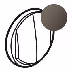 Enjoliveur large Céliane double interrupteur vaetvient ou poussoir  graphite