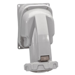 Legrand 555559 prise de courant Multicolore