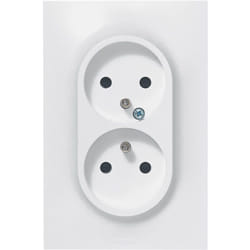 Legrand - Double prise de courant avec terre Neptune - 16A - 1 poste - blanc