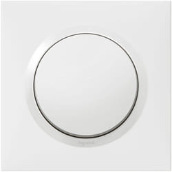 Legrand - Poussoir dooxie 6A 250V livré avec plaque carrée blanche