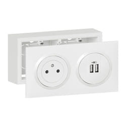 Legrand - Kit prise de courant Surface avec chargeur 2 usb Type a dooxie 3A précâblés avec cadre saillie finition blanc 300410