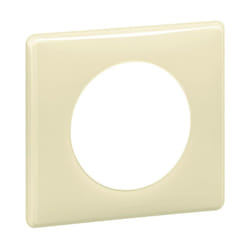 Plaque 1p ivoire (098820)