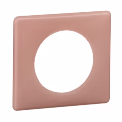 Legrand 066761, 1 pièce(s)