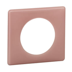 Legrand 066761 Plaque de commutation et obturateur