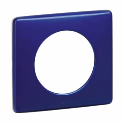 Legrand 068781, 1 pièce(s)
