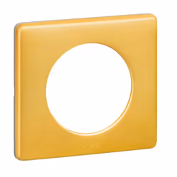 Legrand 068791, 1 pièce(s)