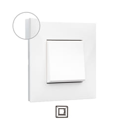 Legrand 741001 Plaque de commutation et obturateur