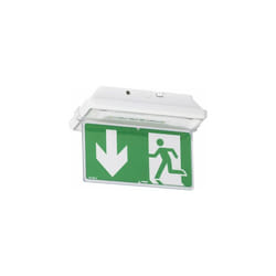 Plaque ue porte pictogramme -