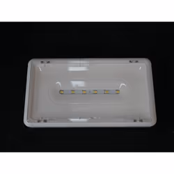 Luminaire d'ambiance de sécurité sur source centralisée (LSC) saillie LED 5.5W 400lm tension 48- 220VAC ou 230VDC 225x125x45m ...