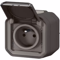 La prise de courant Plexo complet saillie anthracite, proposée par Legrand, est une solution durable et résistante, parfaitem ...