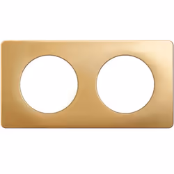 La plaque Céliane 2 postes - Laiton Satiné est un choix élégant et fonctionnel pour ceux qui souhaitent harmoniser leur insta ...
