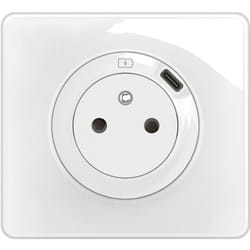 Legrand - prise 2P+T avec prise usb type-c 7,5W céliane complet blanc CG0140
