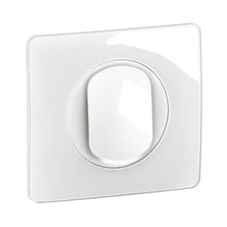 Legrand - Interrupteur lumineux Céliane 10AX complet Blanc (CG1001)