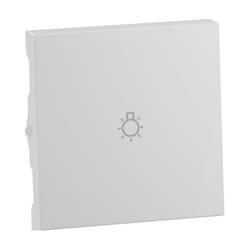 Legrand 765113 Plaque de commutation et obturateur Blanc