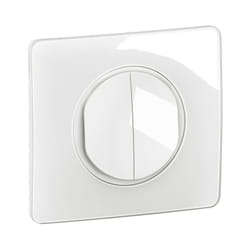 Legrand - Double interrupteur lumineux Céliane 10AX complet Blanc (CG3001)
