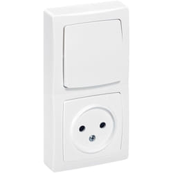 Legrand - Interrupteur avec 2P montage vertical complet Appareillage saillie - Blanc