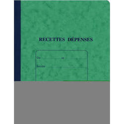 RECETTES DEPENSES 220X170 80 P  PIQURE