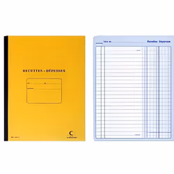 ELVE Registre Recettes/Dépenses 80 pages 297 …